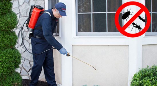 Pursaklar Karınca İlaçlama böcek ilaçlama ve haşere kontrolü — ilaclama-tr.com